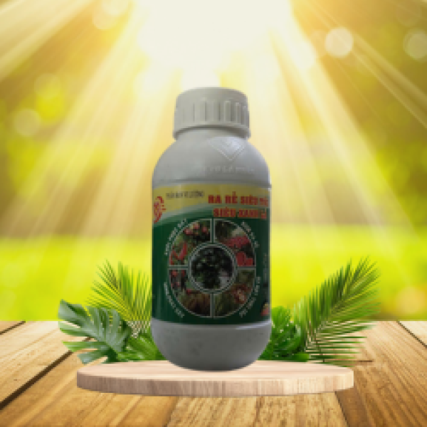 RA RỄ SIÊU TỐC - SIÊU XANH LÁ