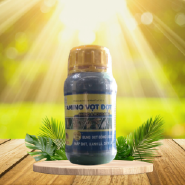 AMINO VỌT ĐỌT