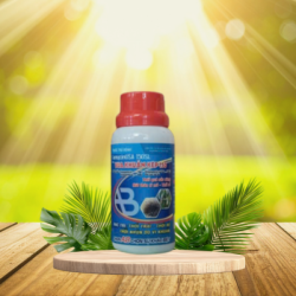 VUA KHUẨN KÉP 150