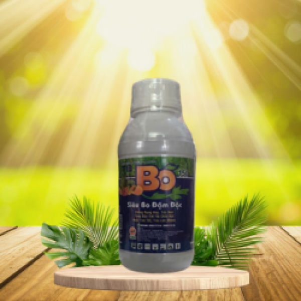 SIÊU BO ĐẬM ĐẶC