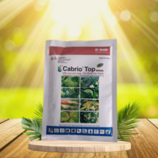 CABRIO TOP 600WG