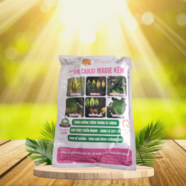BO CANXI MAGIE KẼM