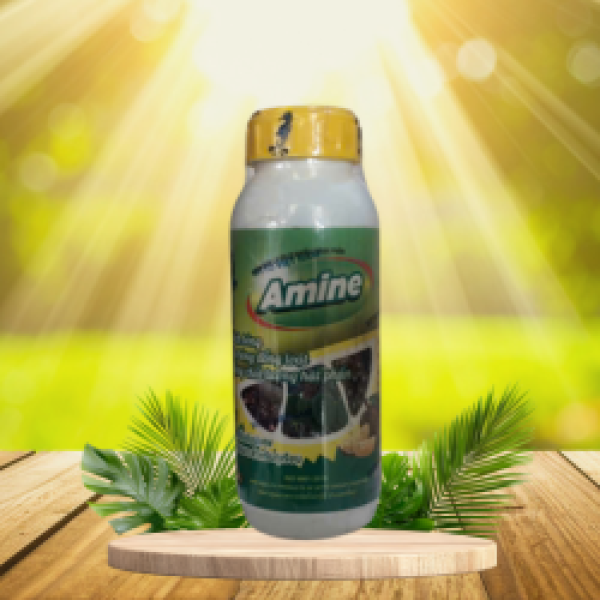 AMINE