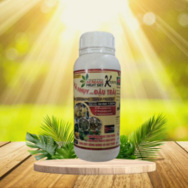 XẢ NHỤY ĐẬU TRÁI 