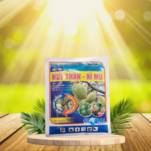 NỨT THÂN-XÌ MỦ