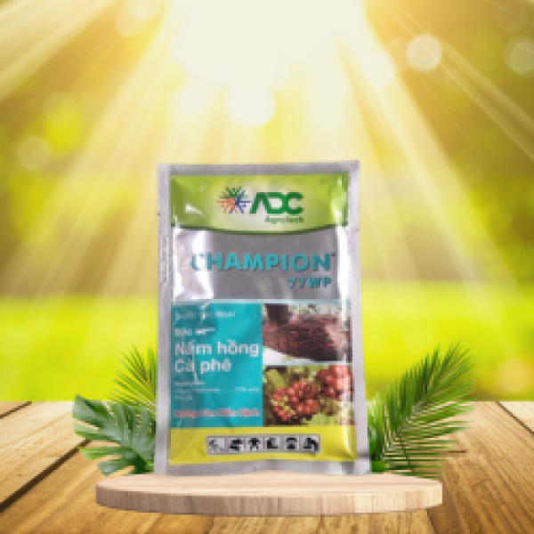 ĐẶC TRỊ NẤM HỒNG CAFE