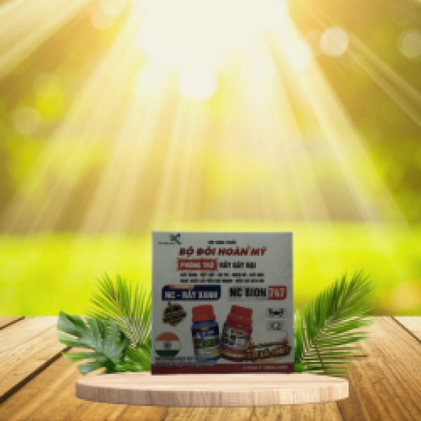 BỘ ĐÔI HOÀN MỸ