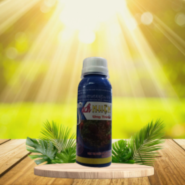 SẠCH NHỆN UNG TRỨNG