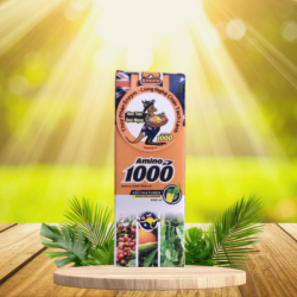 AMINO 1000