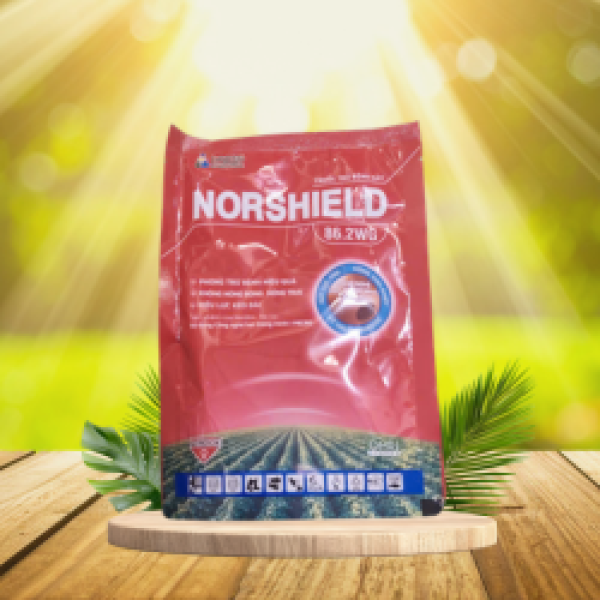 NORSHIELD