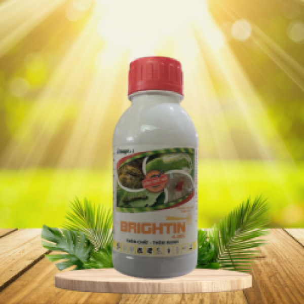 BRIGHTIN
