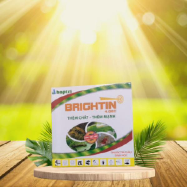 BRIGHTIN 4.0EC